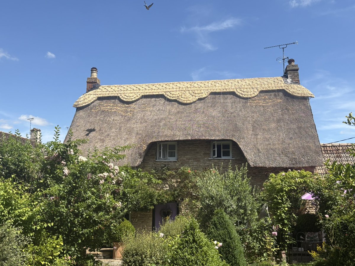 c_dodson_thatch's tweet image. A proper chocolate box cottage all finished over in Exton, Rutland. #thatching #masterthatchers #ruralcrafts #rutland