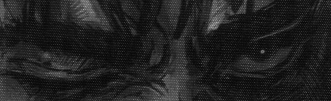 nocturnmachine's tweet image. — driven by will.