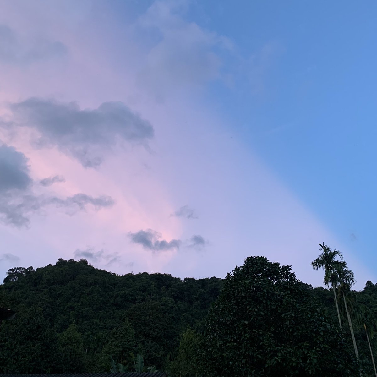 ไอเสือแสน (@iamxtiger) on Twitter photo 