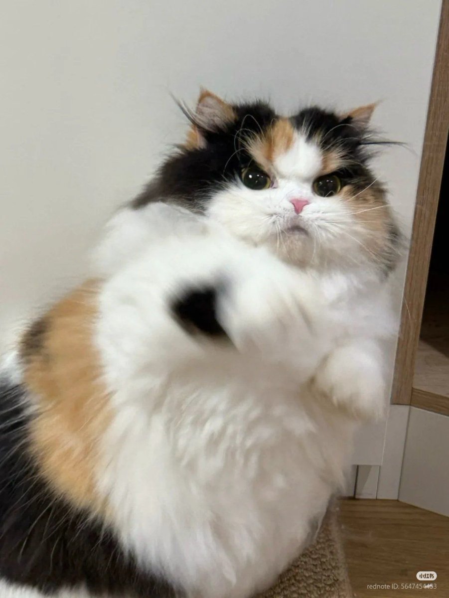 👊🏻👊🏻👊🏻