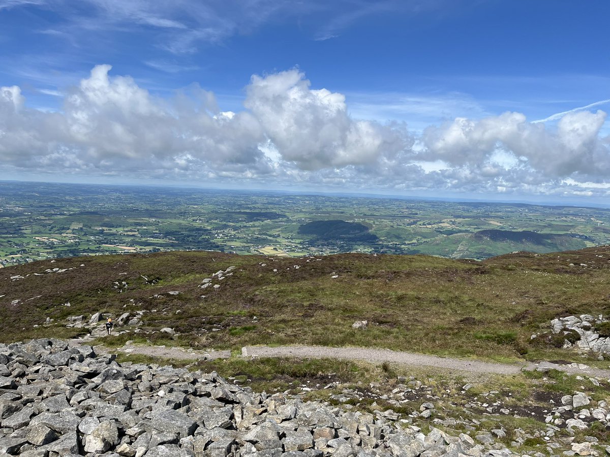 Professor David Comiskey 🏗 tweet media