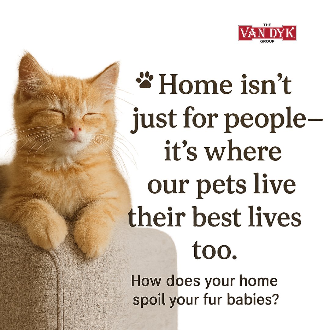 VanDykGroup's tweet image. 🐱 It's National Kitten Day! Your furry family deserves a cozy home too—sunny windows, soft spots &amp;amp; room to play. 🏡 What’s your pet’s favorite space at home? 🐾 #PetFriendlyHome 💬 RT &amp;amp; share!