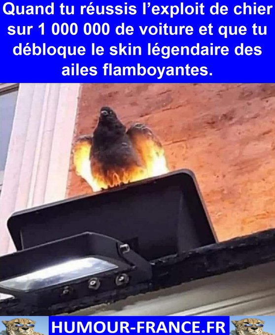 text alternatif
