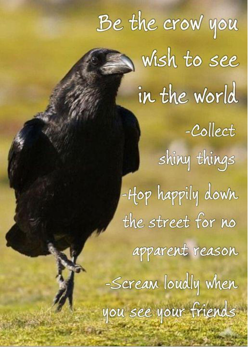#crow #friends #shift #magic #Nature