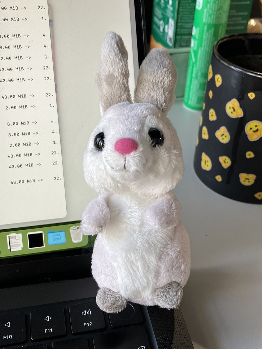 Got a new friend. I name him "LLaPin" 😁