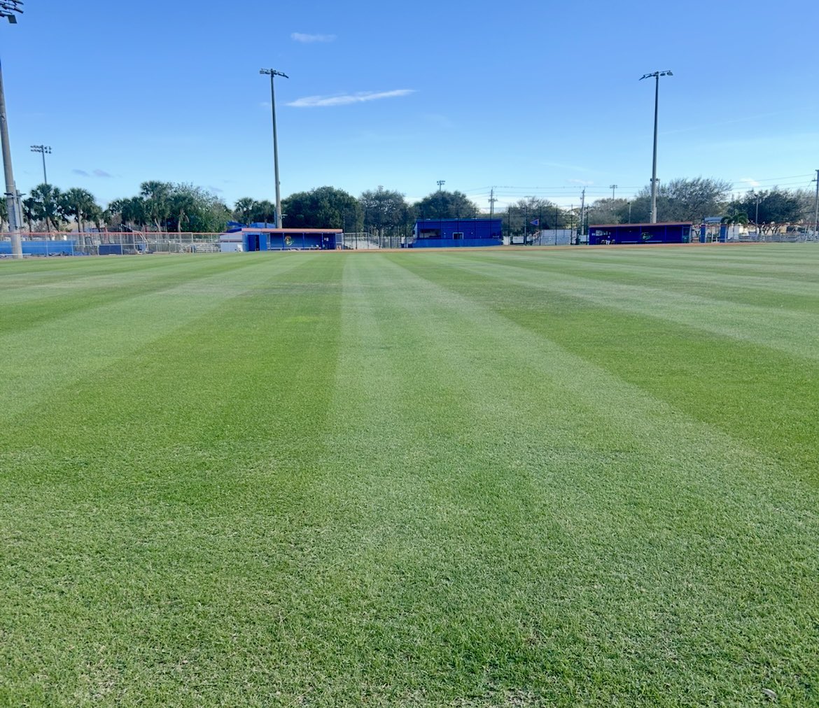HSBaseballField's tweet image. Palm Beach Gardens High School (Palm Beach Gardens, Florida) #GoGators @MattJudkins3 @1gatorsbaseball @pbphighschools @Andy_Villamarzo @PrepBaseballFL @Florida_PG @DiamondProMedia #HsBaseballFields