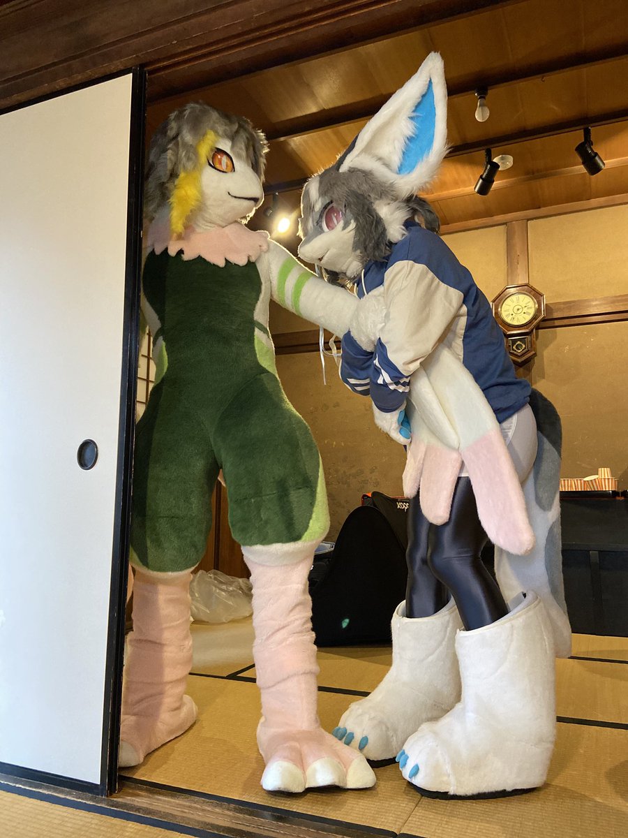 #FursuitFriday
誘惑