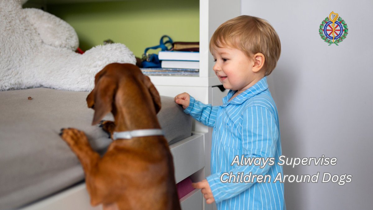 National Ambulance Service 🇮🇪🚑 (@ambulancenas) on Twitter photo All dogs can be unpredictable, especially if there are visitors in the house and their routine is disrupted.
🐕 Always supervise children around dogs
👨👧Never leave your baby or child alone with a dog
🦴Teach your child the signs of stress in dogs
#DogSafety All dogs can be unpredictable, especially if there are visitors in the house and their routine is disrupted.
🐕 Always supervise children around dogs
👨👧Never leave your baby or child alone with a dog
🦴Teach your child the signs of stress in dogs
#DogSafety