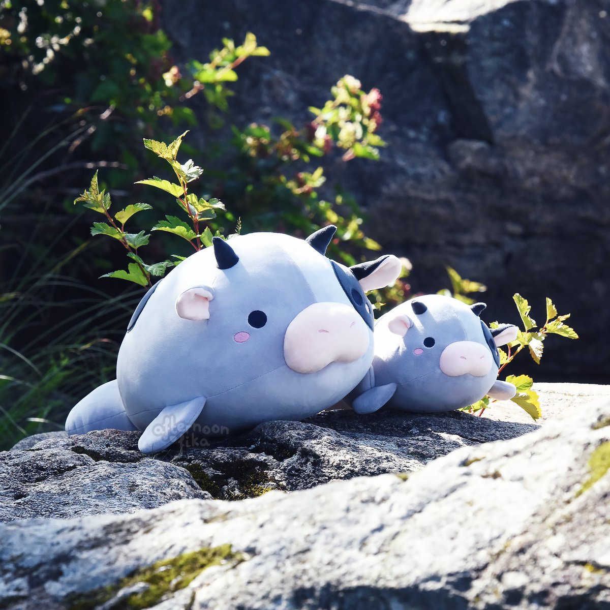 floofyfluff's tweet image. Sea cow plushies 🌊🐮