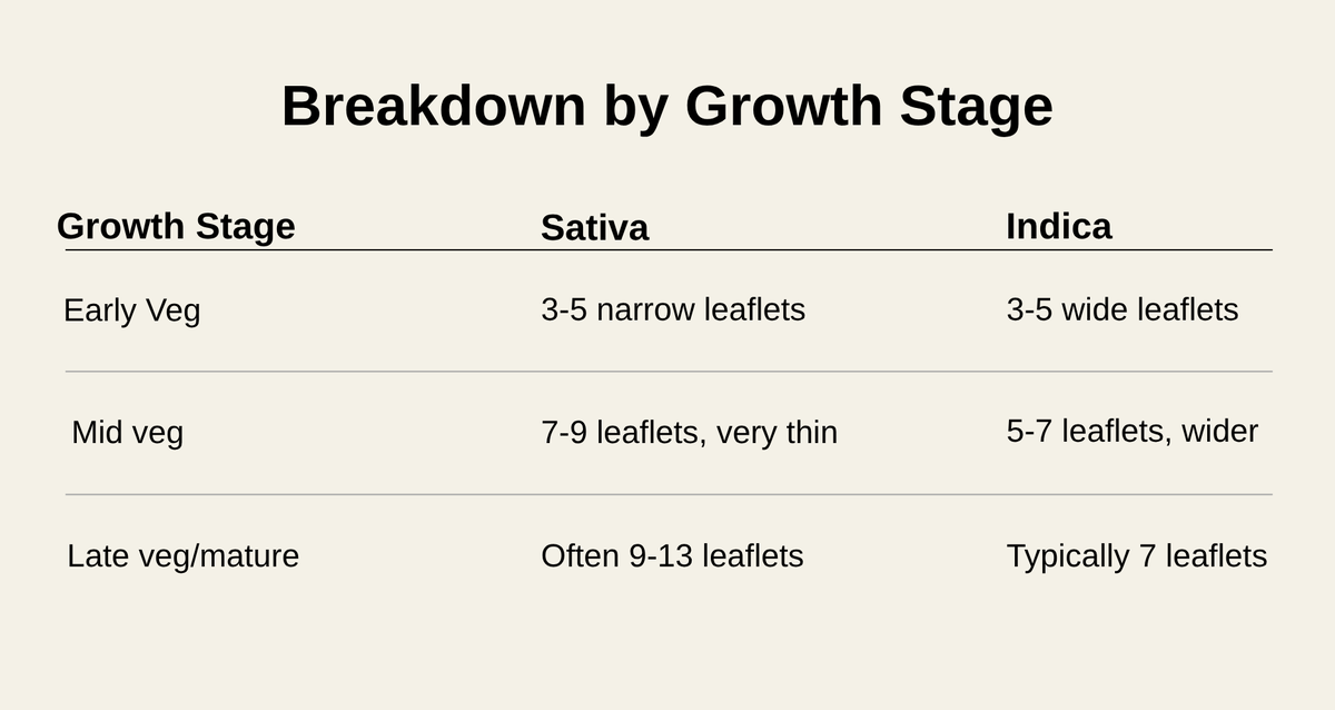 Cannabis Leaf Breakdown 

Think all cannabis leaves are the same? Think again.

Depending on the plant's genetics and growth stage, cannabis leaves can have 5, 7, 9, 13 or even more leaflets.

Check out this breakdown.

#CannabisEducation #420Facts #GrowTips #CTU