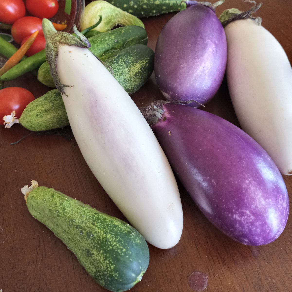 KitchenGardensX's tweet image. Eggplants baffled me when I was a beginning gardener. They turned bitter and got destroyed by bugs - especially the dratted flea beetles. I couldn’t figure out what I was doing wrong.
Over time, I learned that some eggplant varieties grow better in my climate, and that we only…