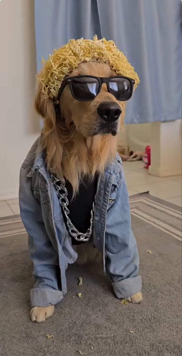 SammyETH_CTO's tweet photo. It's a new day - we continue to work hard at $SAMMY! Team are grinding and community is forming, it's only a matter of time for this pooch.

Nothing but great vibes and diamond hands.

https://t.co/HGTMelSPk1 https://t.co/ENUw93CU9m