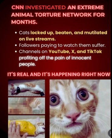 I wish to GOD I was lying! I wish this were all a bad dream. I wish SO much.
cnn.com/2025/05/30/asi…
But this is #China. And at least every 2.5 hours a new cat torture video is uploaded and exported from #China. China has no laws against #AnimalCruelty, and the people in power