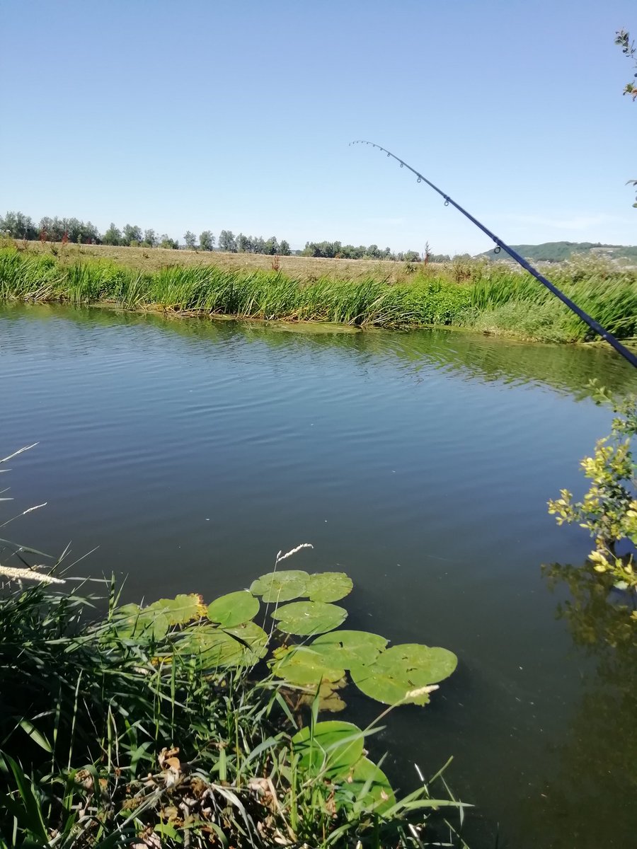 Rods out 🐟🎣 brolley up let's see what's about ☀️🥵😎