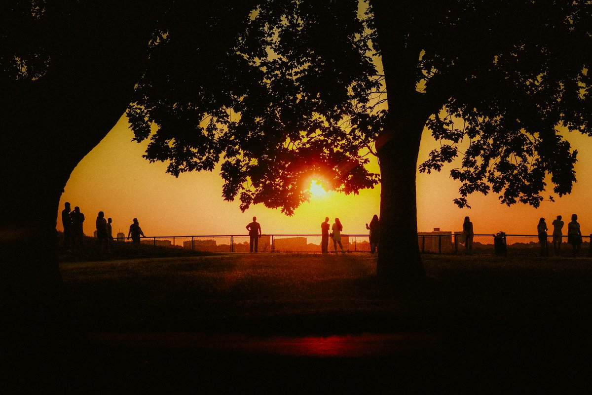 Voici l'image du jour pour le jeu des Micronouvelles !

Écrivez une courte scène basée sur son inspiration et postez la en réponse ou en repartage de ce post.

Source de l'image : unsplash.com