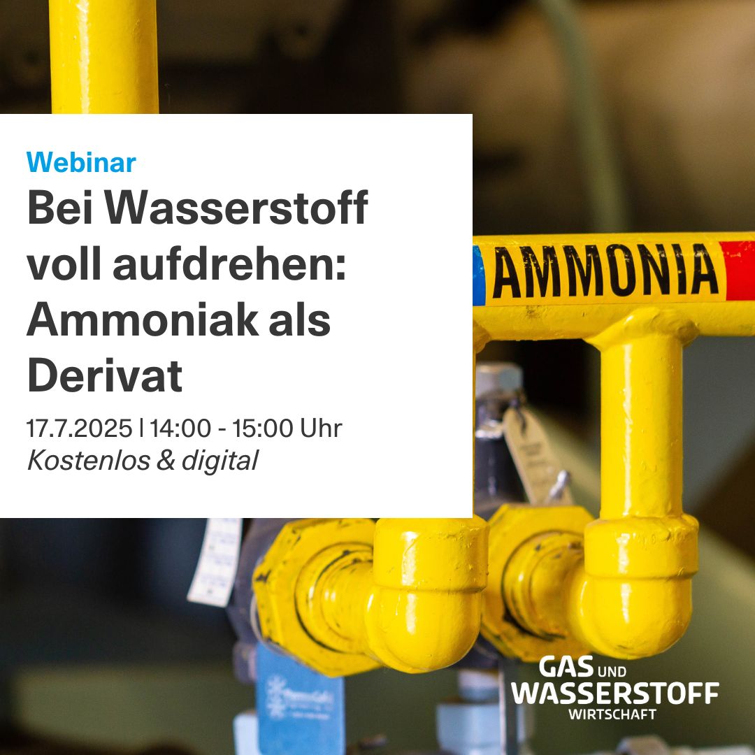 Ammoniak rückt im globalen Wasserstoffhochlauf immer stärker in den Mittelpunkt. Doch neue Chancen bringen auch neue Herausforderungen. Erfahren Sie mehr in unserem nächsten Webinar und diskutieren Sie mit Experten. Jetzt anmelden👉 us06web.zoom.us/webinar/regist…