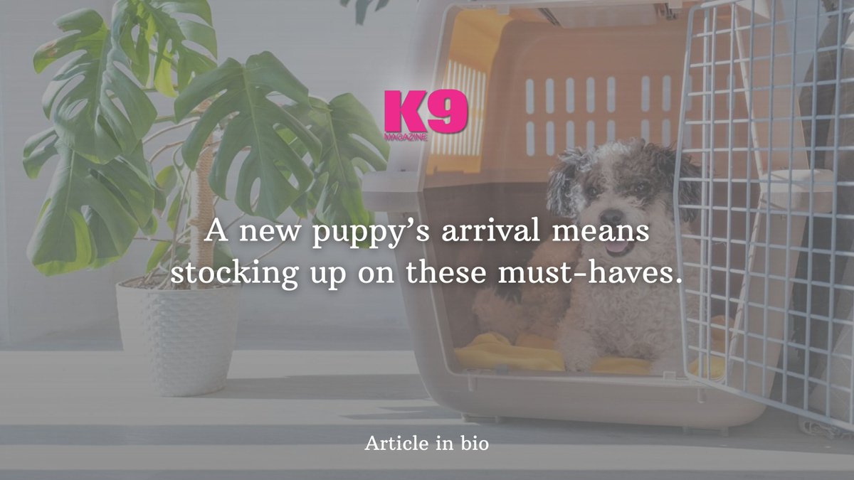 Bringing home a new puppy? Don’t forget these must-have supplies! 🐾 #k9magazine

k9magazine.com/must-have-dog-…