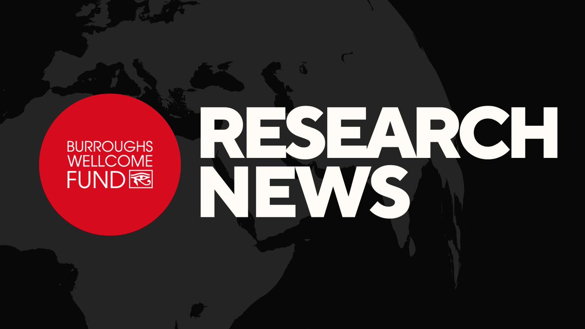 BWFUND's tweet image. From Nature Microbiology - ATG5 suppresses type I IFN-dependent neutrophil effector functions during Mycobacterium tuberculosis infection in mice
buff.ly/OnexoHL #bwfpath