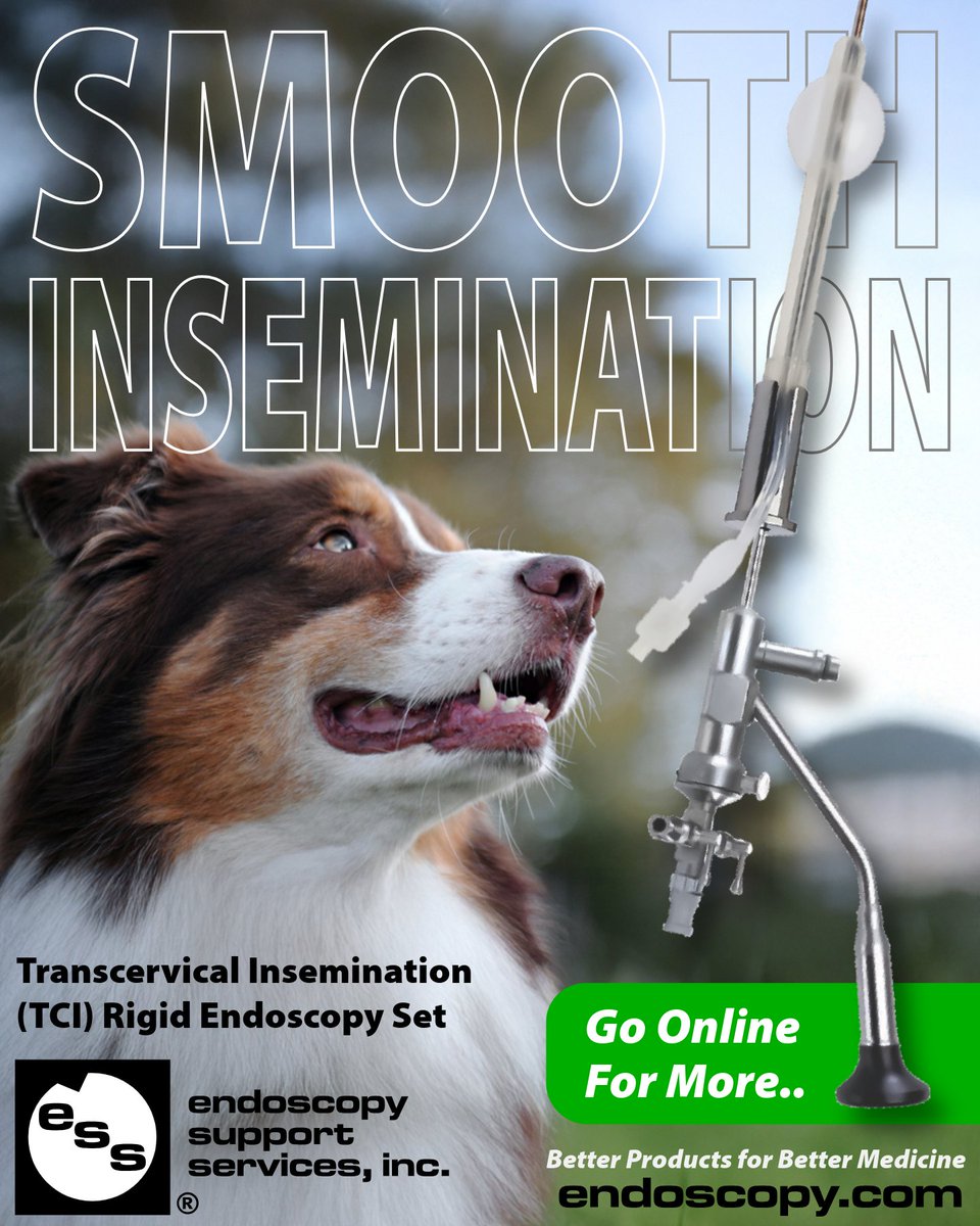 ESSIncNY's tweet photo. Smoother, more successful Canine Artificial Inseminations (AI) with this Transcervical Insemination (TCI) Set provided by ESS, Inc.
https://t.co/F4wpLLTL0Z https://t.co/rFom2RfydW