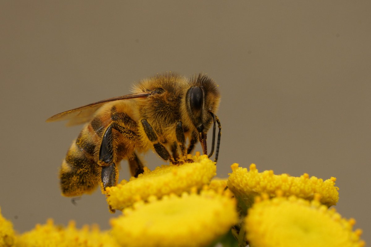 Whether you're a developer, product manager, or just curious about how your favourite apps work together, understanding APIs is essential in today’s digital world.

Find out what you need to know here:shoothill.com/shoothill-expl…