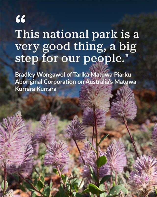 "This is what country should look like," says ranger Bradley Wongawol, part of the Martu-led land management team.

He describes the landscape as an environment that reflects long-standing Indigenous care and stewardship. pewtrsts.org/449iUfg