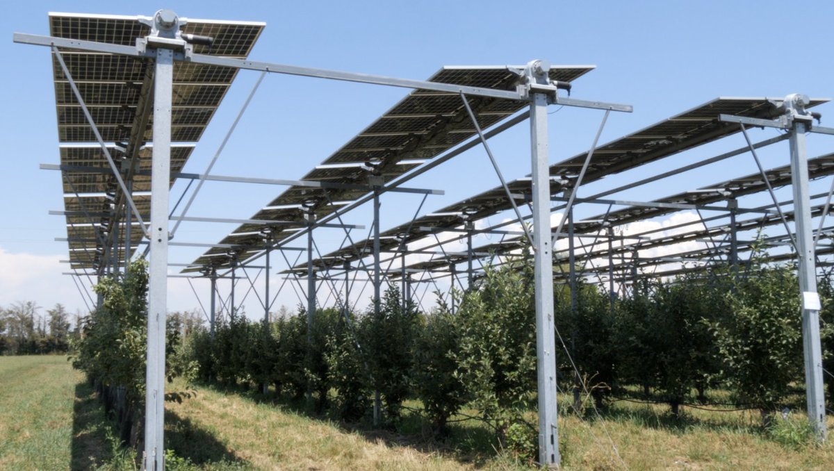 🌳#Herault : <a href="/EDF_power/">EDF power solutions</a> teste l'#agrivoltaisme sur 1 000 m² de panneaux solaires au-dessus des pommiers à #Marsillargues, en associant production agricole et énergie solaire. Reportage vidéo exclusif avec <a href="/CybeleTech/">CybeleTech</a> <a href="/chambagri34/">Chambre d'agriculture de l'Hérault</a> <a href="/JeromeDespey/">Jérôme Despey</a> <a href="/Prefet34/">Préfet de l'Hérault 🇫🇷</a> #Agriculture