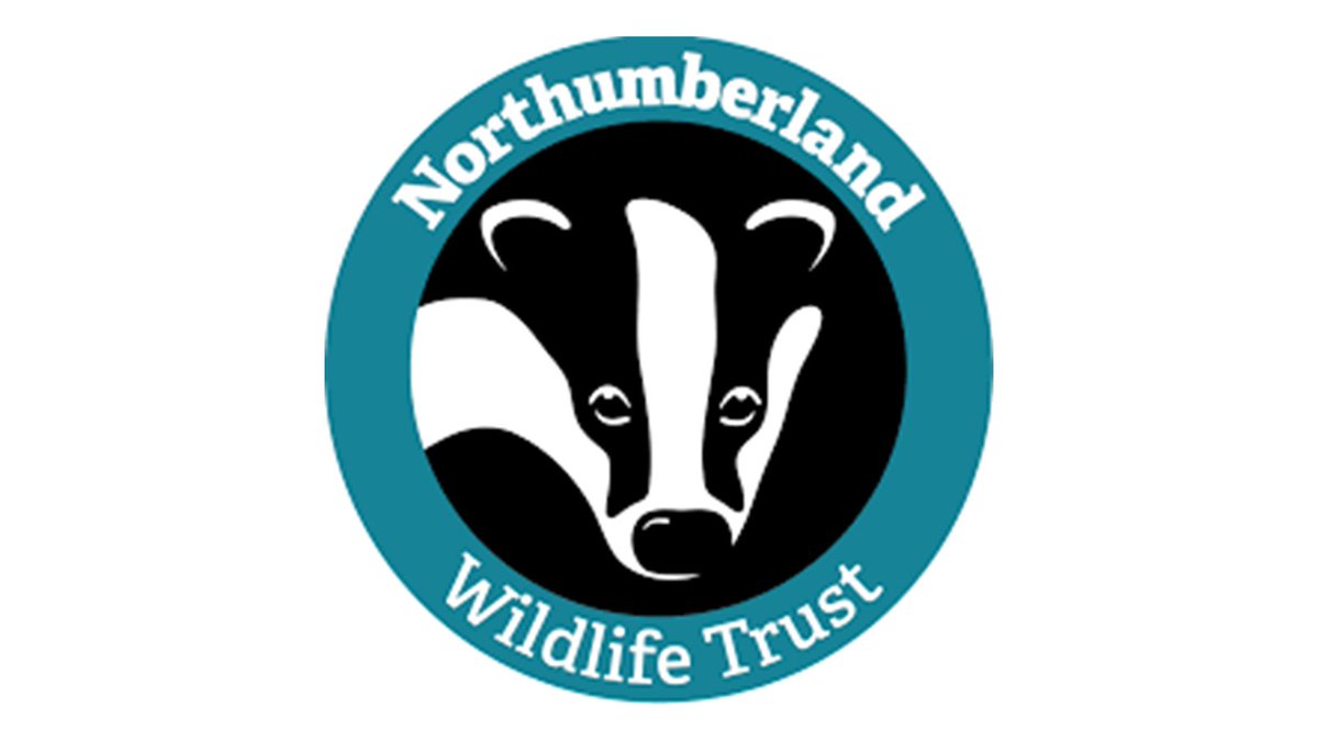 JCP in NTW (@jcpinntw) on Twitter photo Red Squirrel Recovery Network Data and Information Officer for Northumberland Wildlife Trust in Gosforth.
Go to ow.ly/EnHp50WmlF8
<a href="/NorthWildlife/">Northumberland Wildlife Trust</a>
#NewcastleJobs
#EnvironmentJobs Red Squirrel Recovery Network Data and Information Officer for Northumberland Wildlife Trust in Gosforth.
Go to ow.ly/EnHp50WmlF8
<a href="/NorthWildlife/">Northumberland Wildlife Trust</a>
#NewcastleJobs
#EnvironmentJobs
