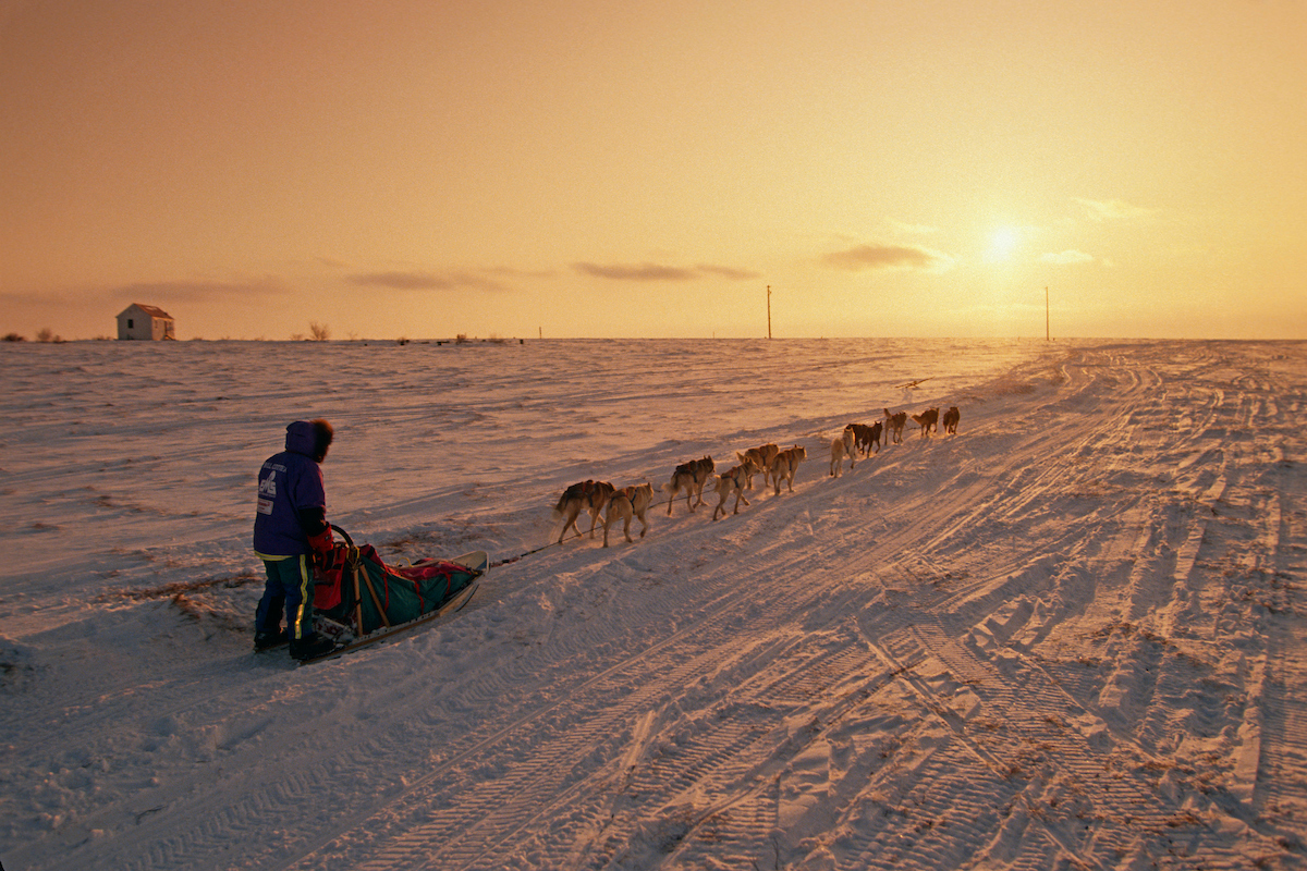 🐾 #Iditarod #ThrowbackThursday🐾
Iditarod Veteran Bill Cotter and his team pass through Unalakleet at sunset in the 1994 Iditarod.  Cotter finished the race in 5th place that year, crossing under the Burled Arch in 10d 22h 39m and 3s.

📷 @iditarodjeff | schultzphoto.com