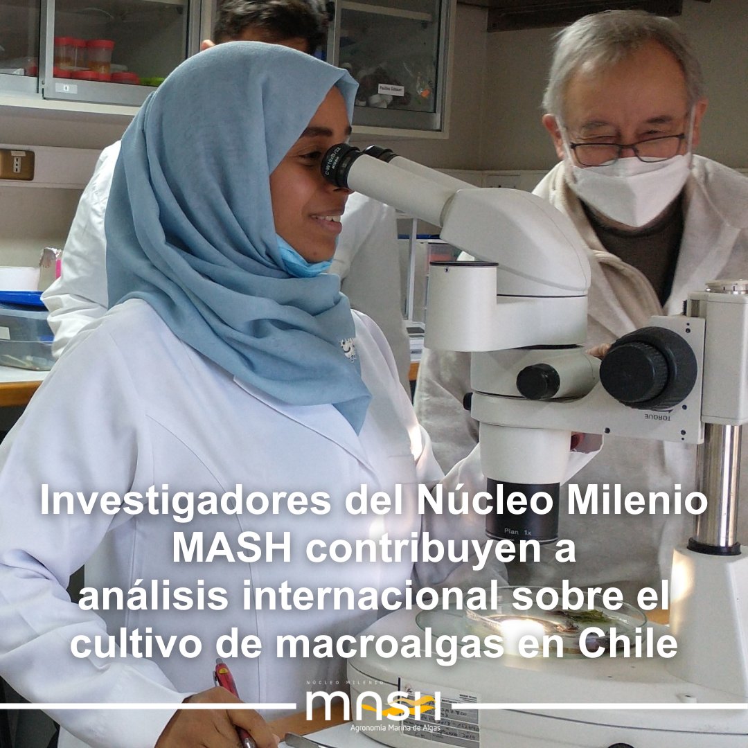 Núcleo Milenio MASH tweet media