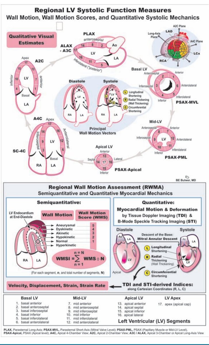 TrackYourHeart's tweet photo. Regional measures of left ventricular (LV) systolic function. https://t.co/gxjBoMh9Gs