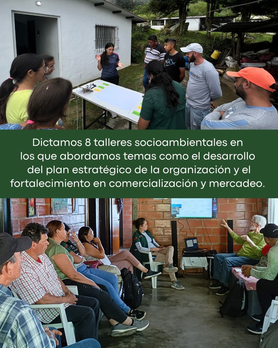 provita_ong's tweet image. 🌟Durante esta etapa del proyecto Aves y Café estuvimos comprometidos a fortalecer y potenciar la autonomía de los productores de ACAFLO. 🙌🏻
Realizamos talleres diseñados para que puedan crear y mantener una marca de productos orgánicos y amigables con las aves. 🐦🌿
Durante…