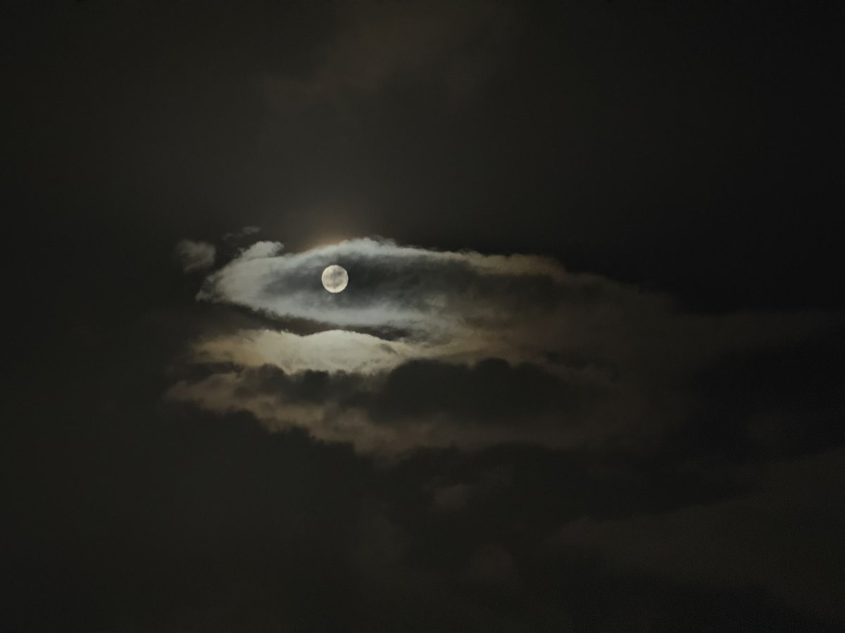 Fish with a moon eye.