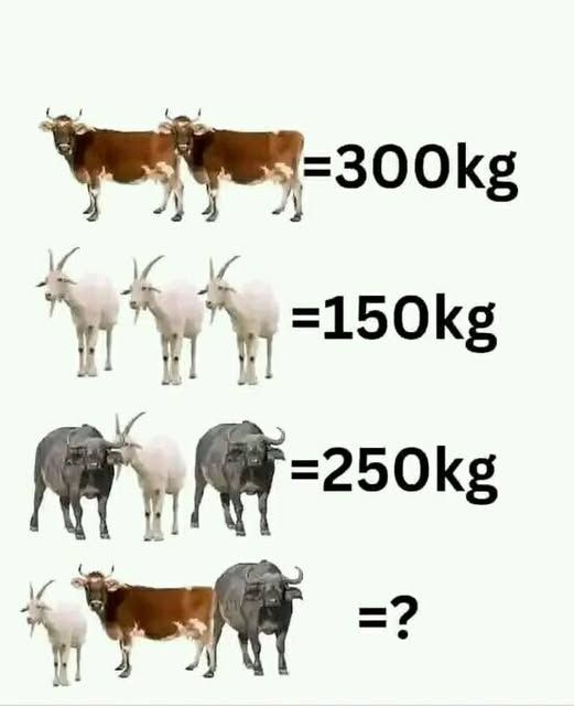 Can you SOVLE this ? #math