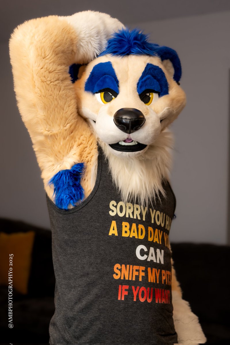 Why don't you come over here and tuck your muzzle right into this meerkat pit? &lt;3 
📸: <a href="/AJtheBexar/">AJ the Bear</a>