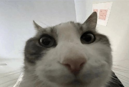 KezieDra's tweet image. Pinterest be like « ideas you might like » with really good references on the preview. And when you click on it, they show you everything except the good references on the preview