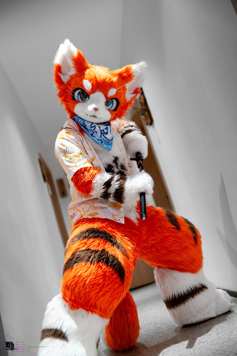 #FursuitFriday 

拔刀！

摄影：电脑（圈名...ID不知道…）