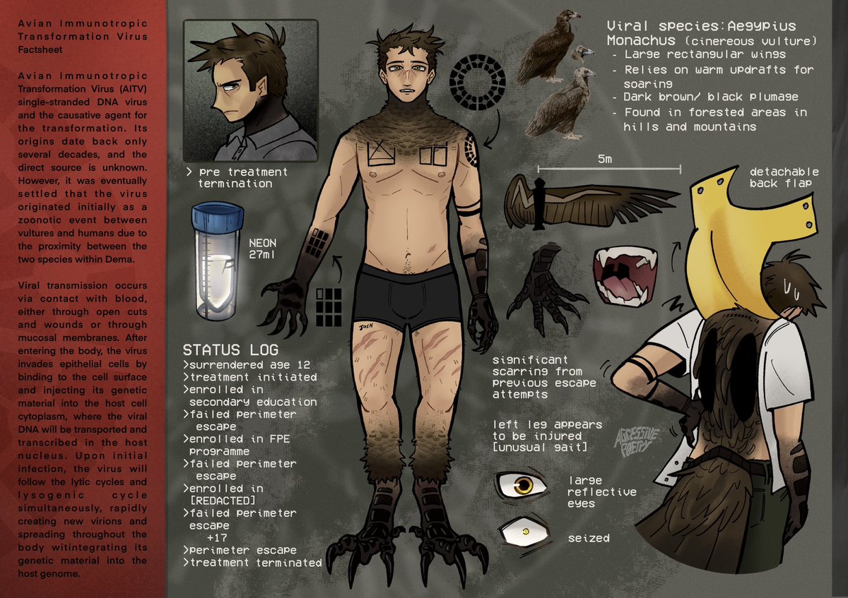 agressive_poet's tweet photo. UPDATED VULTURE!TYLER REFRENCE SHEET!! 🦅 GRAGAGGHHH

#vulturetyler https://t.co/rDP9yCIHbe