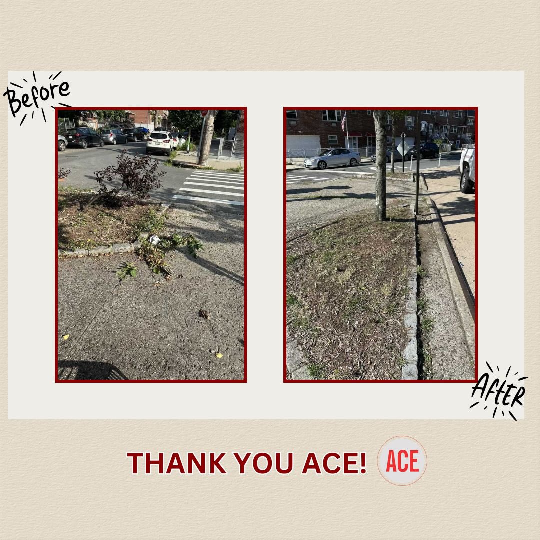 KristyMarmorato's tweet image. Major appreciation to @aceprogramsny for tackling the cleanup on Pierce & Bogart Ave! ๐ฅ๐ Your work never goes unnoticedโthanks for helping us keep District 13 clean and cared for!