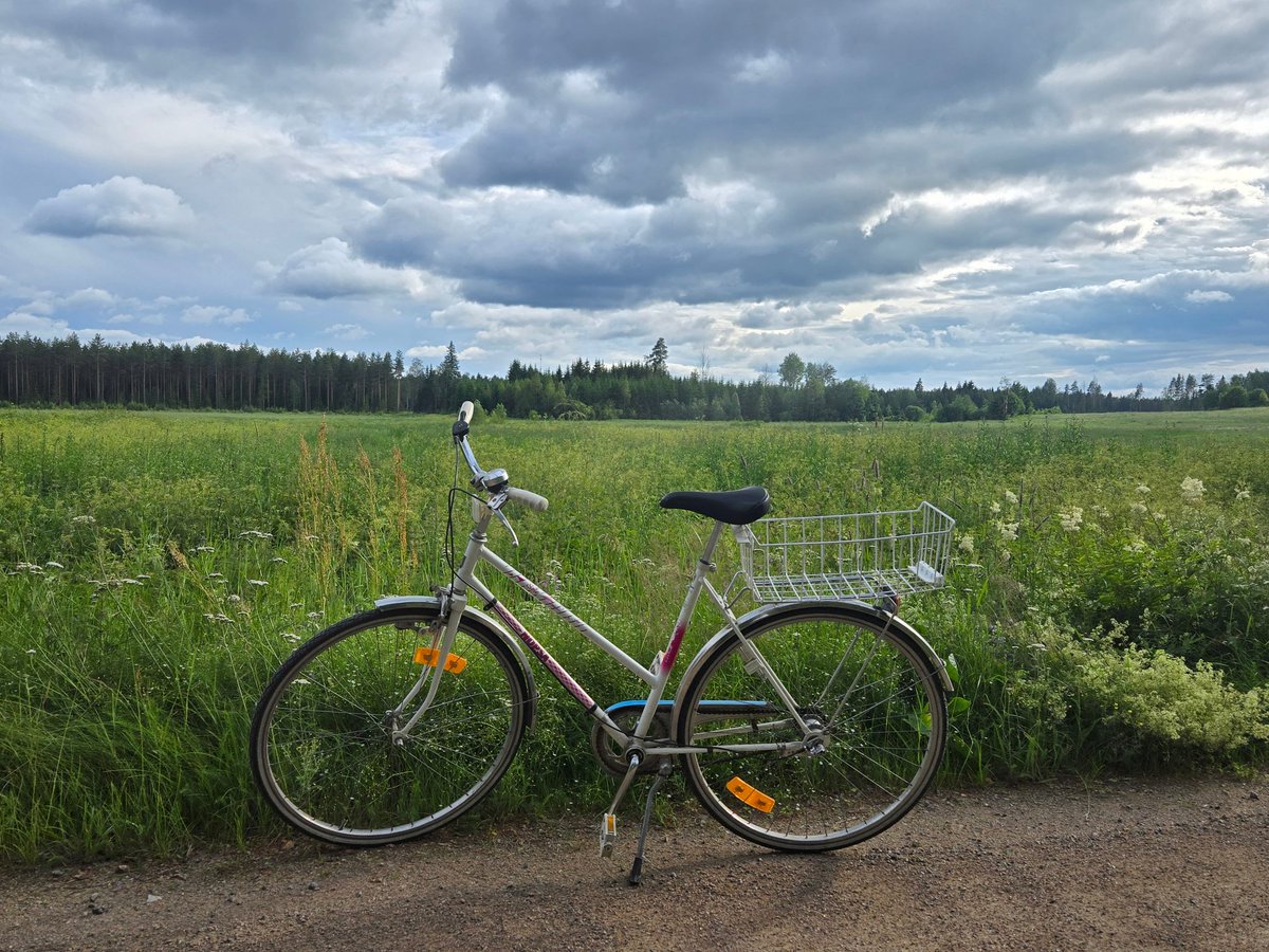 half__watt's tweet image. Riding around like the village drunk