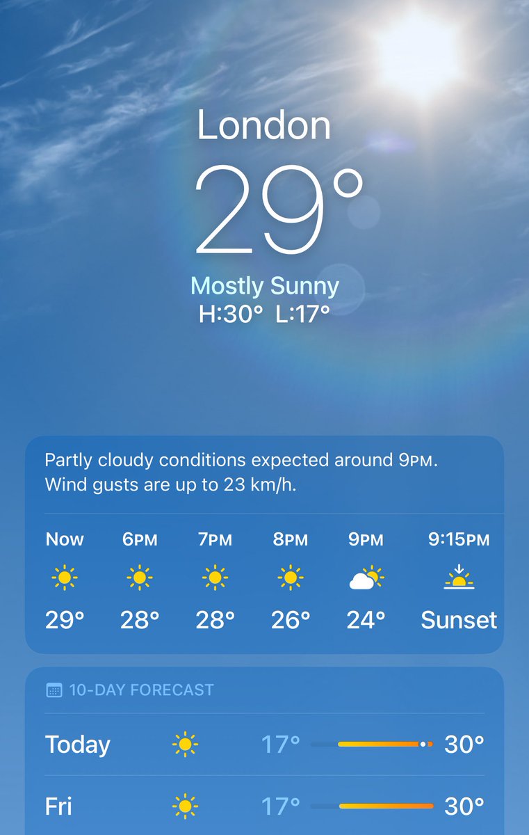 Jungle Rock tweet media