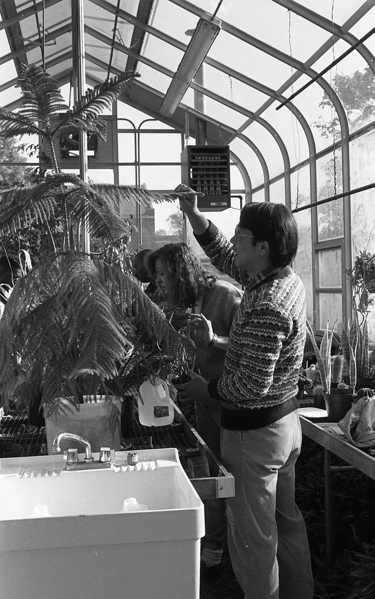 Commonwealth University Graduate Admissions tweet media