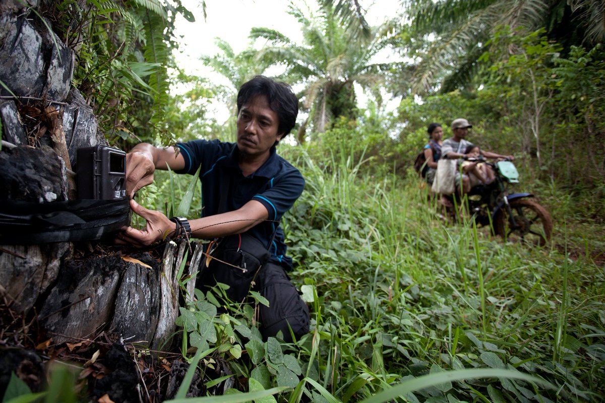 Kanni Wignaraja tweet media