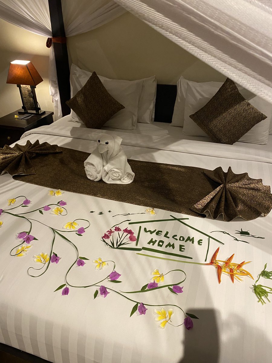 archipell4go's tweet image. Hola bali 👊🏻🤤