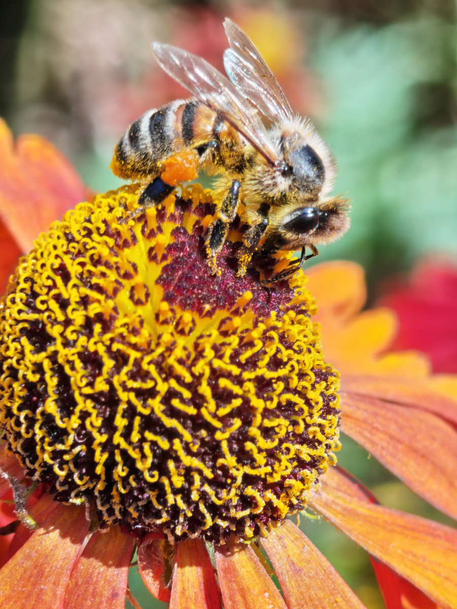 Michael Josh tweet media