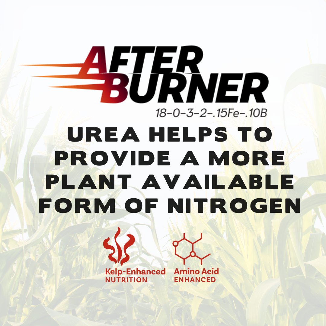💥 After Burner delivers 18-0-3-2S with 0.15% iron and 0.10% boron in a clean, easy-to-use liquid.

✔️ 100% NH4+ for plant-available nitrogen
✔️ Enhanced with sulfur, iron, and boron
✔️ Recommended use rate: 15 gallons per acre

📞 Call us at 308.995.5363 to learn more or talk