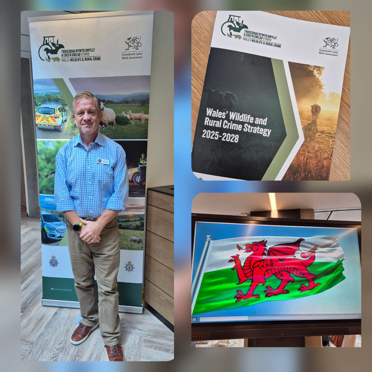 Once a Scruffy Cop (@scruffycop) on Twitter photo A warm day in #Wales at the <a href="/SeneddWales/">Welsh Parliament</a> representing <a href="/Naturewatch_org/">Naturewatch Foundation</a> for the #Wildlife & #rural crime 2025/2028 strategy release. A chance to catch up with friends from <a href="/LeagueACS/">League Against Cruel Sports</a> <a href="/BadgerTrust/">Badger Trust</a> & the <a href="/ukwildlifecrime/">UK National Wildlife Crime Unit (NWCU)</a> #makewildlifecount #protectingwildlife A warm day in #Wales at the <a href="/SeneddWales/">Welsh Parliament</a> representing <a href="/Naturewatch_org/">Naturewatch Foundation</a> for the #Wildlife & #rural crime 2025/2028 strategy release. A chance to catch up with friends from <a href="/LeagueACS/">League Against Cruel Sports</a> <a href="/BadgerTrust/">Badger Trust</a> & the <a href="/ukwildlifecrime/">UK National Wildlife Crime Unit (NWCU)</a> #makewildlifecount #protectingwildlife