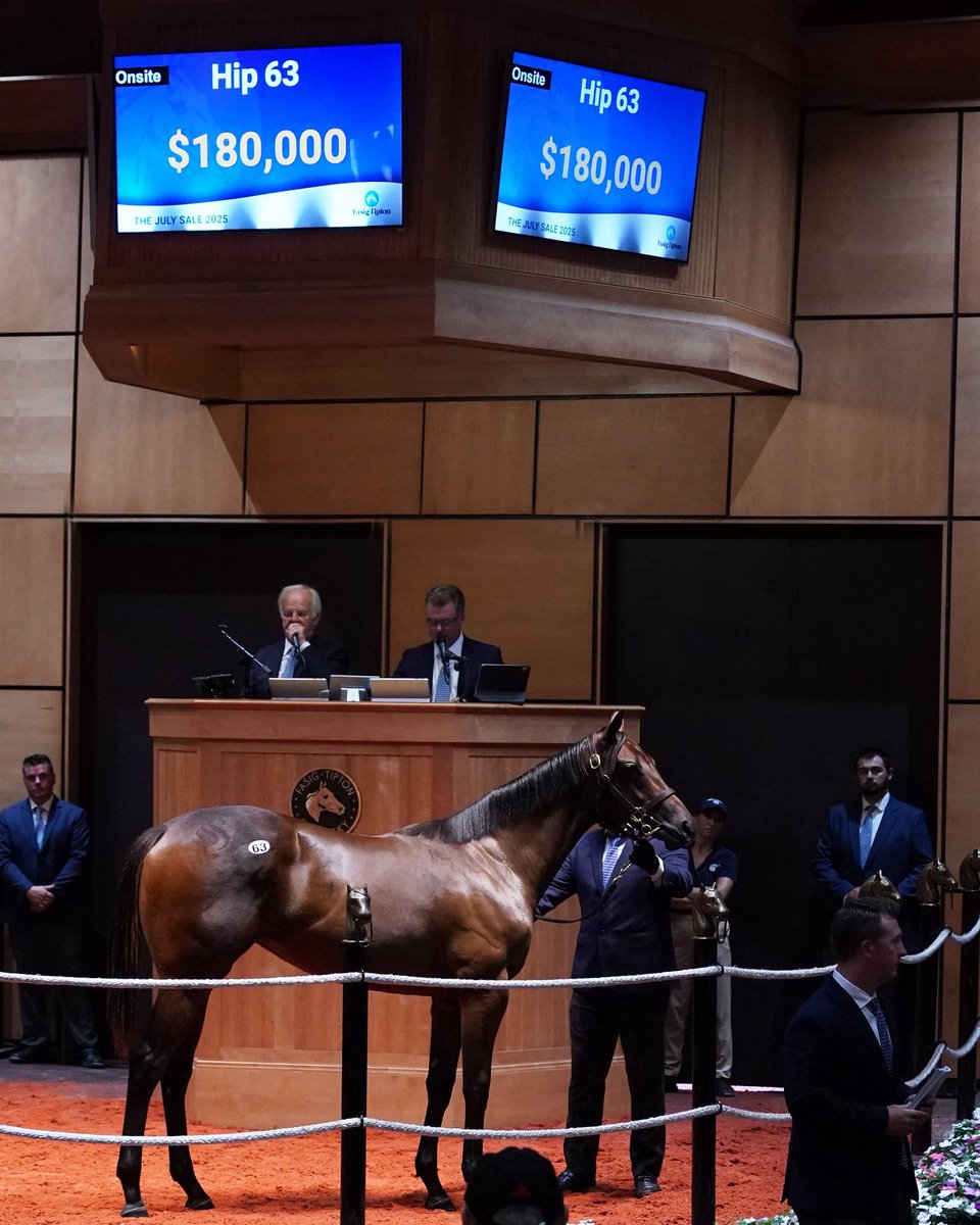 IconRacingLFG's tweet photo. DRAFTED‼️ We Swung for Hip 63 an Athletic Daughter of JACKIE’S WARRIOR @FasigTiptonCo @spendthriftfarm @BrookdaleFarmKY 

She is the first horse drafted for Icon Racing- BIG BROWN 

📸 @matheakelley 

Become an Icon⚡️
Membership@Iconracing.com https://t.co/FxmZQrCESs