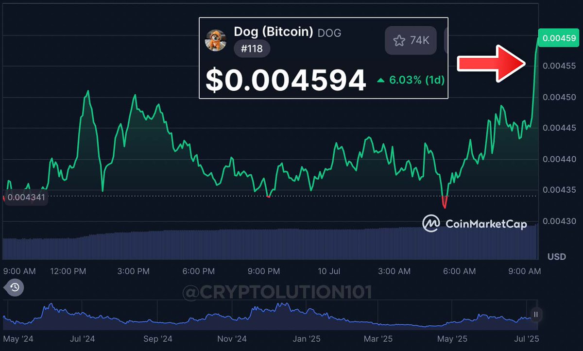 $DOG....Probably Nothing 👀