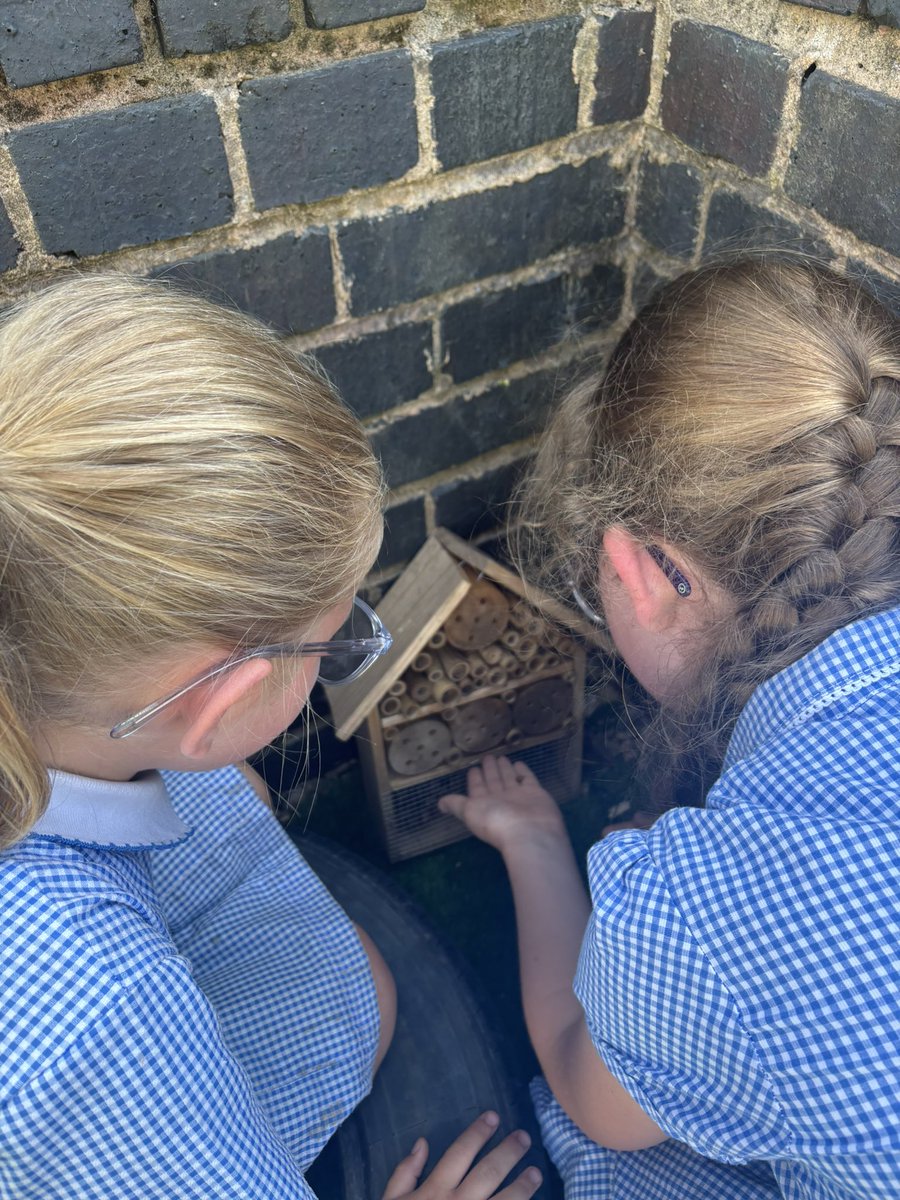 Today we had our final TLC after school club of the year, celebrating with a party and enjoying the sunshine! It’s been lovely to see the group grow, share different experiences, form friendships, and enjoy plenty of fun and smiles along the way.