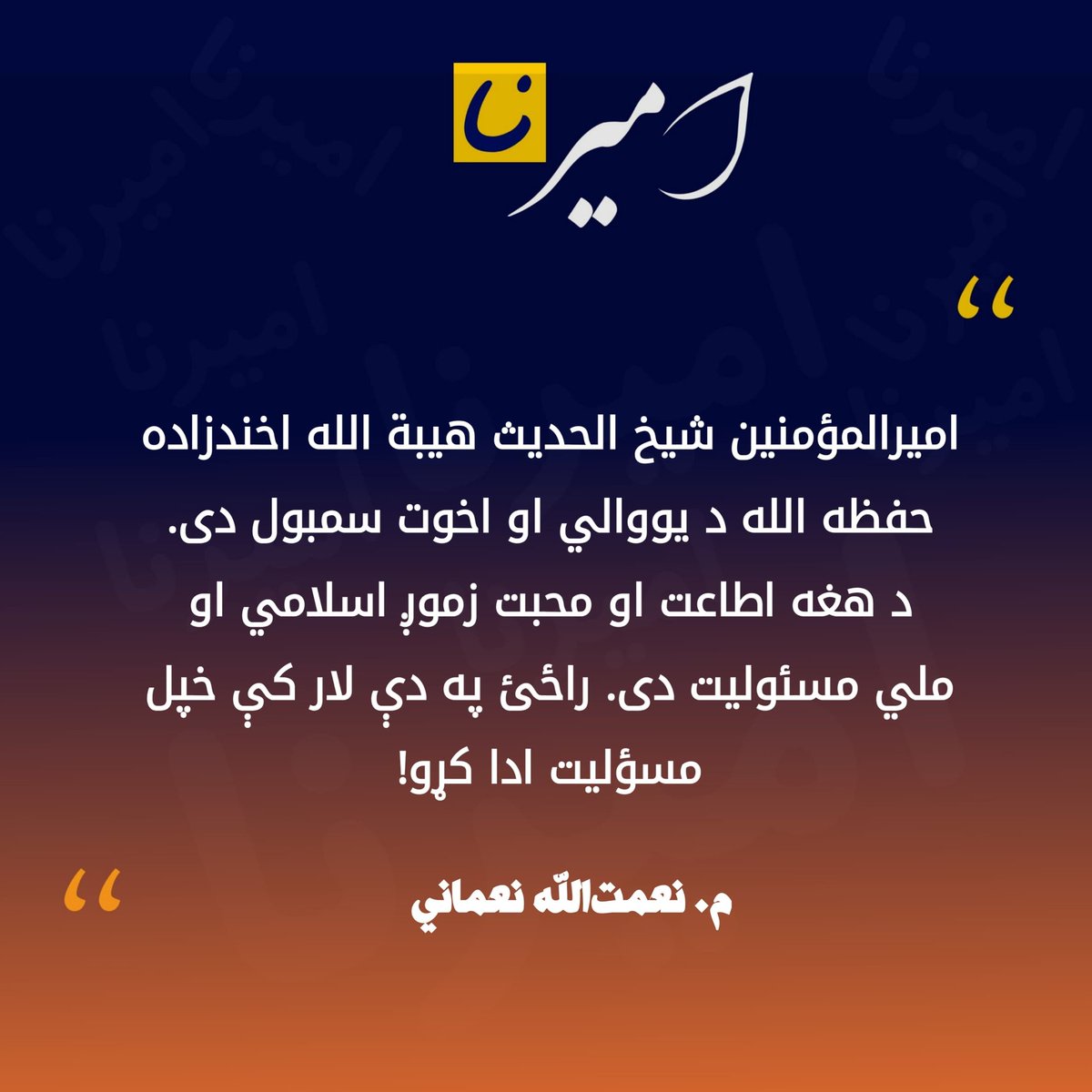 #امیرنا